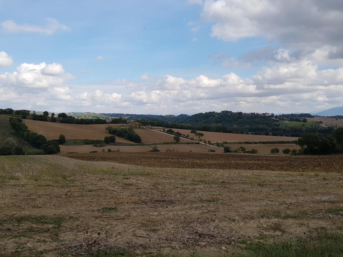 Agriturismo Il Pappamerlo Pila  Zewnętrze zdjęcie